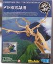 4M - Set Arheologic Pterosaur
